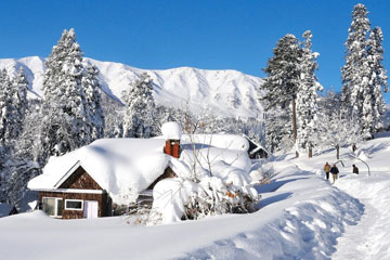 Gulmarg Car Rentals Service from North India