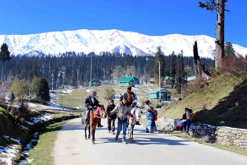 Gulmarg Taxi Service