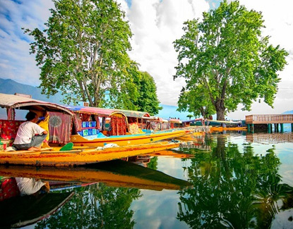 Kashmir